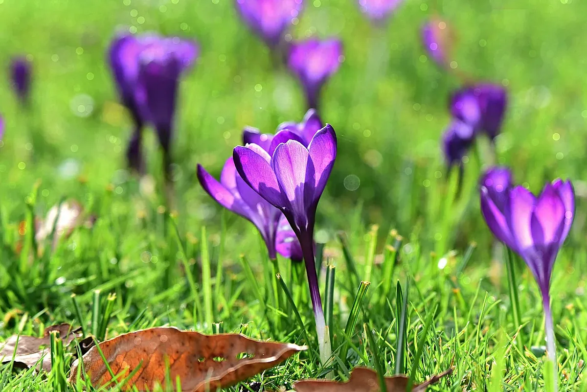 Днес е лято! Слънцето ни гали, вятърът е закачлив-празнувайте смело с ефирен тоалет