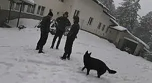 Излязоха нови разкрития по случая "Петрохан"