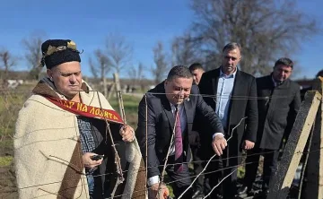 Сунгурларе става столица на винения туризъм. Уникални снимки