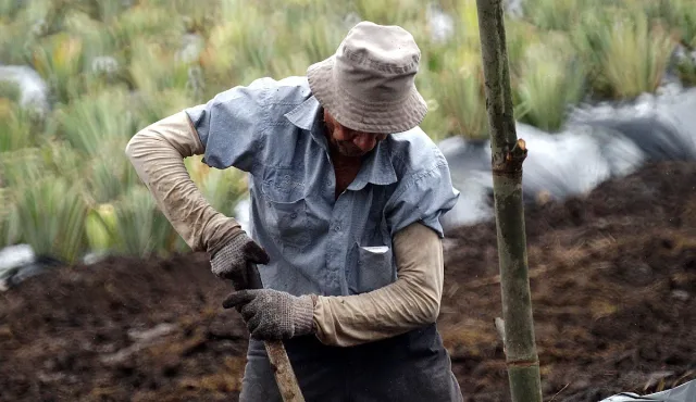 Тежък труд, ниско заплащане и недостиг на хора в селското стопанство