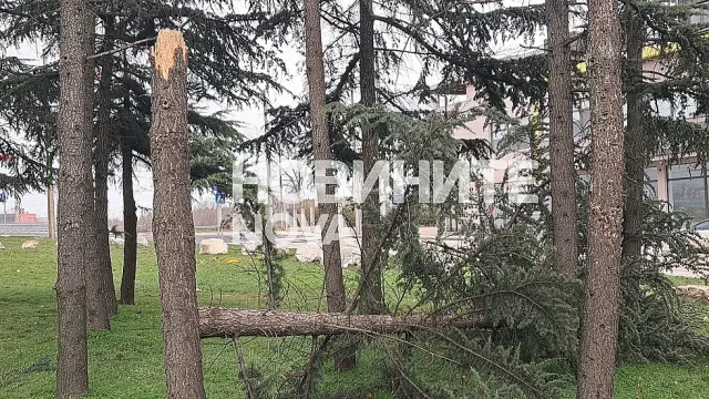Летят мазилки, падат дървета! Ураган беснее в два града