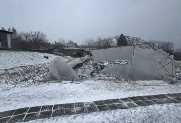 Влошените метеорологични условия унищожиха общинските оранжерии за биологично чисти зеленчуци