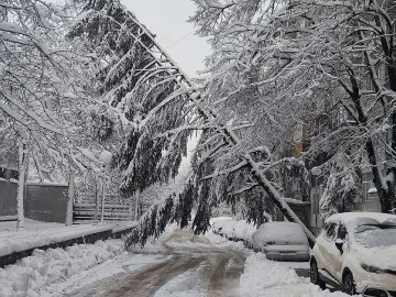 Ужас в страната. Урагани и кошмари на пътя