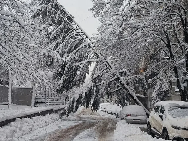 Ужас в страната. Урагани и кошмари на пътя