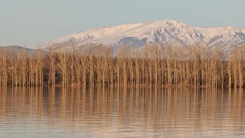 Предупреждение за жителите на наш град! Каква е опасността