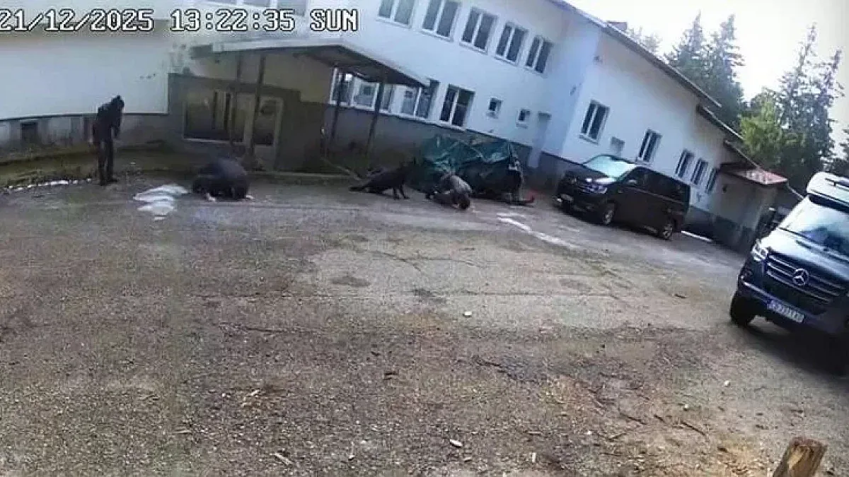 Глас, говорещ на английски в "Петрохан", хвърля светлина върху случая