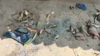 Чудовищно варварство в Индия. Загина дете