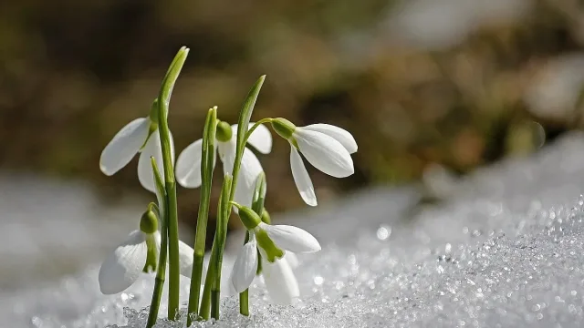 Времето с рязък завой. 15 градуса