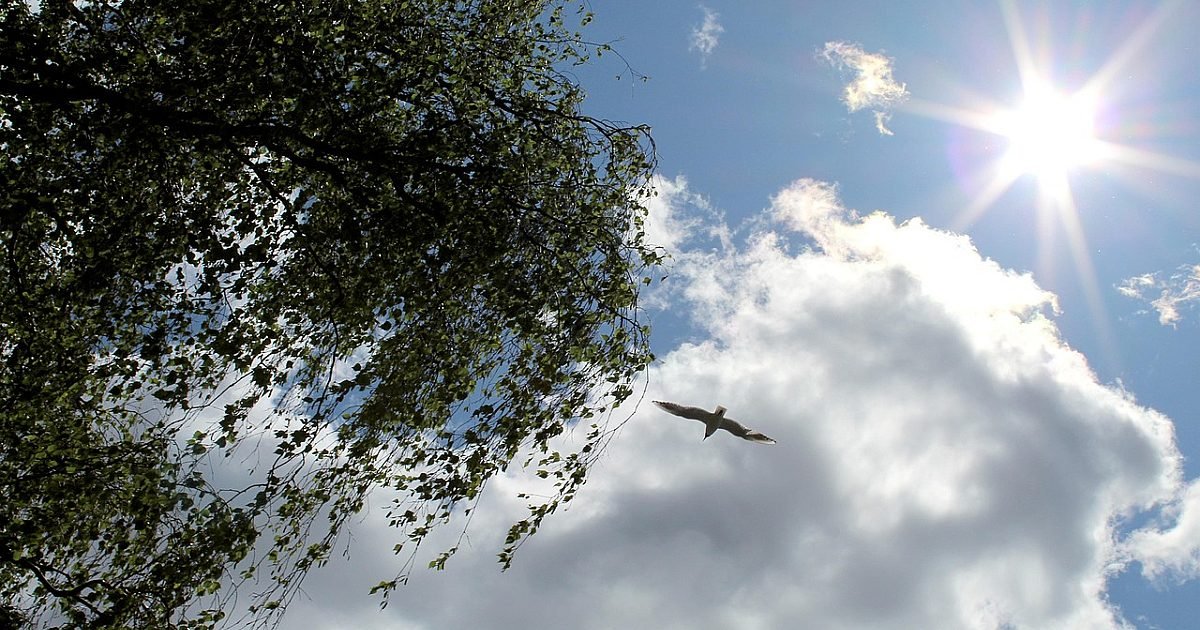 Времето през седмицата: 20 градуса и сняг