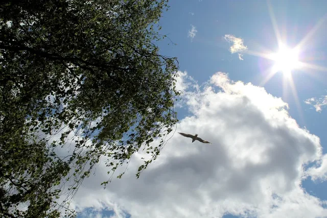 Времето е на настроения и днес