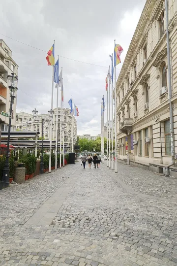 70–100% от гените на европейците идват от западноанадолски земеделци