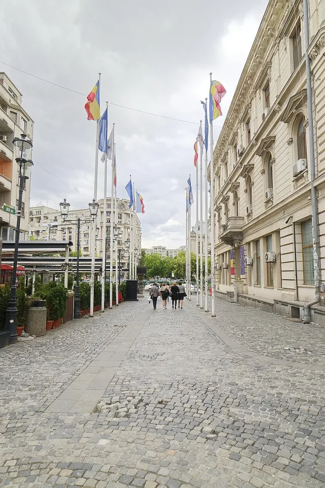 70–100% от гените на европейците идват от западноанадолски земеделци