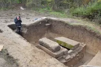 Мъж от Свищов изкорени дърво и попадна на уникално чудо (СНИМКИ)