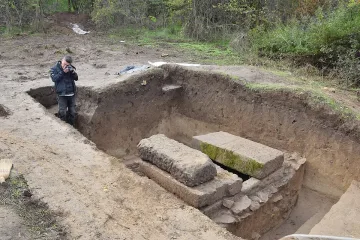 Мъж от Свищов изкорени дърво и попадна на уникално чудо (СНИМКИ)