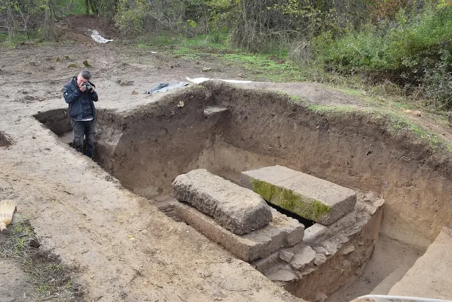 Мъж от Свищов изкорени дърво и попадна на уникално чудо (СНИМКИ)