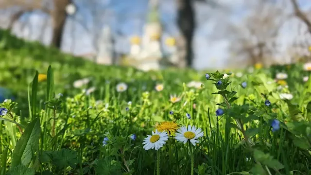 Времето с рязък завой. Изненадата