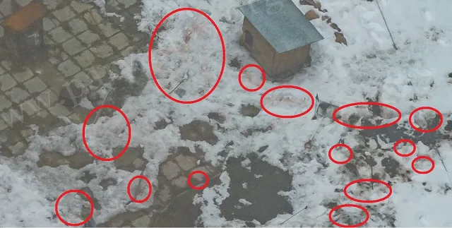 Всички са убити в престрелка, тримата са извозени до Околчица