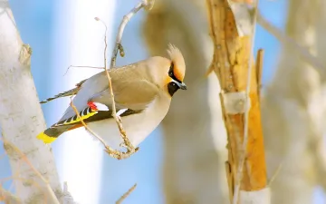 Зимата се прави на пролет: времето се сменя за часове