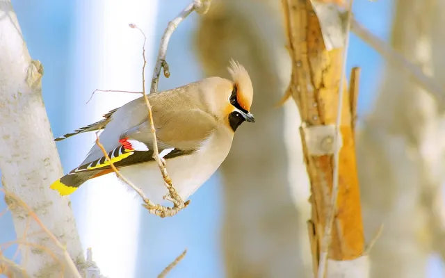 Зимата се прави на пролет: времето се сменя за часове