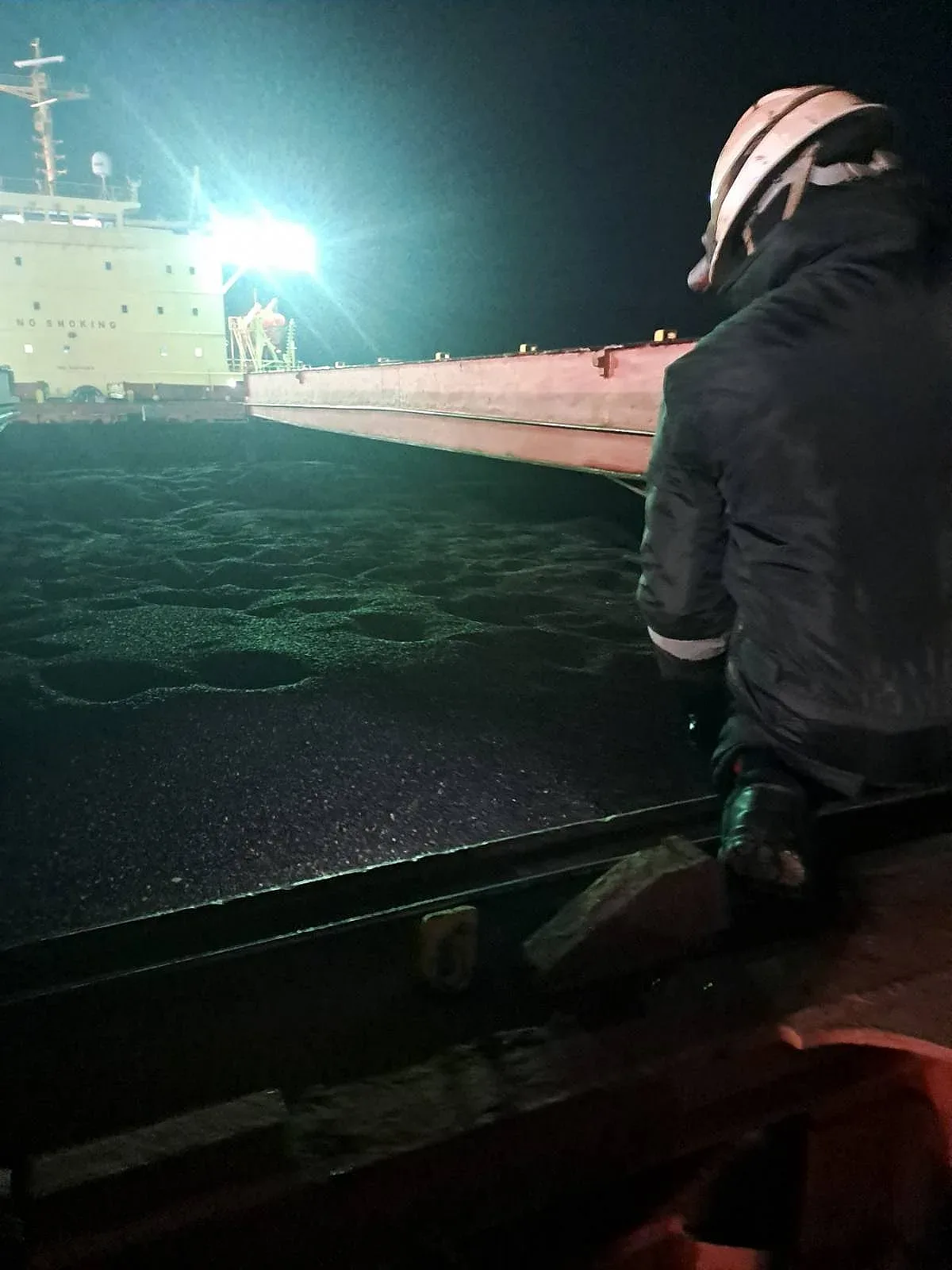 БАБХ: Продължава последващият официален контрол върху пратката слънчоглед от Аржентина