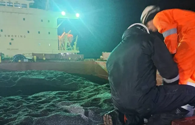 Резултатите от лабораторния контрол на слънчогледа от Аржентина са готови