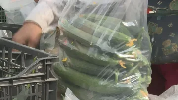 Обвиниха еврото заради проблем с краставиците у нас