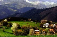 Най-енергийното село у нас пази цвете, което възкръсва