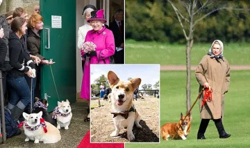 Символ на короната е под заплаха