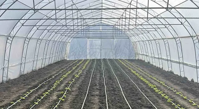 Възстановени са оранжериите за биологично стопанство в село Долно Изворово