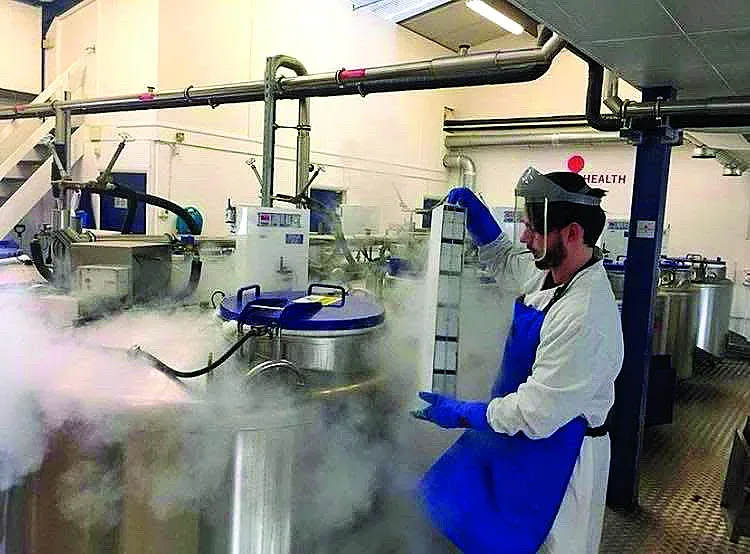 Един шанс, който се дава само при раждането - стволови клетки