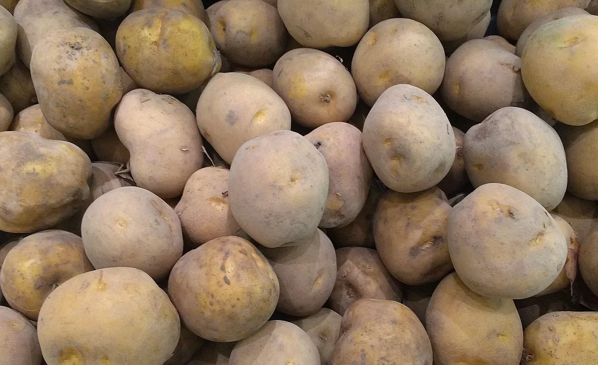 Опасни ли са прорасналите картофи и кога да ги изхвърлим?