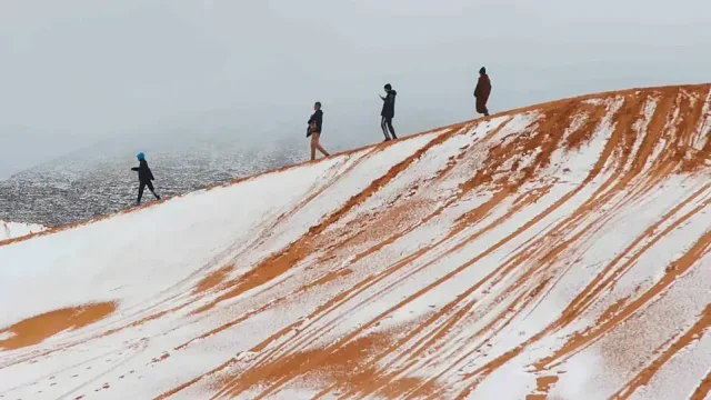 Хората не са на себе си! Какво се случи със Сахара 