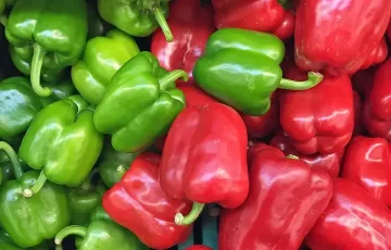 Червени срещу зелени - стана ясно кои чушки са по-полезни