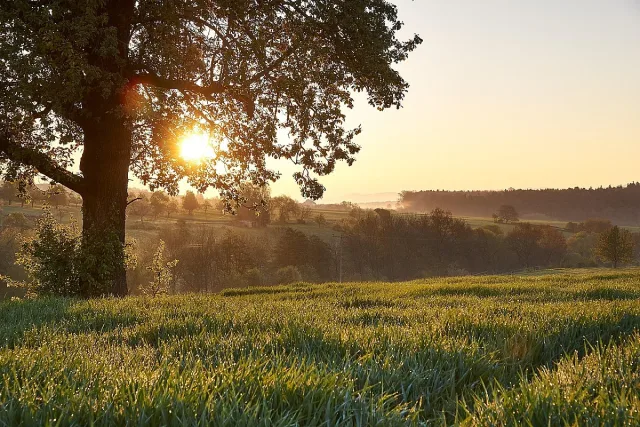 Битка след битка са слънцето и мъглата днес