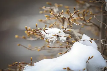 Времето с рязък завой! Студ и още нещо