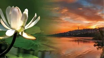 Градът с най-красивите залези. Божествени лилии и златни рибки 