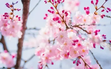 Сняг и през април, но пролетта дойде - по-дълги и по-топли дни!