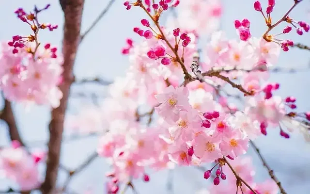 Сняг и през април, но пролетта дойде - по-дълги и по-топли дни!