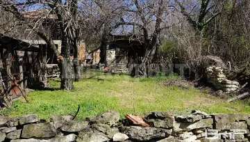 В селото на синеоките никой не излиза нощем. Мъжете нямат спомени