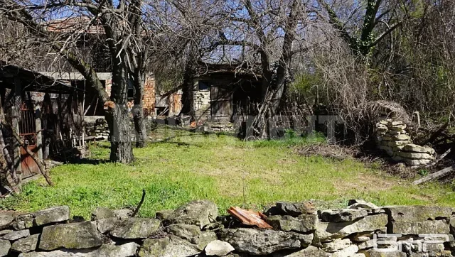 В селото на синеоките никой не излиза нощем. Мъжете нямат спомени