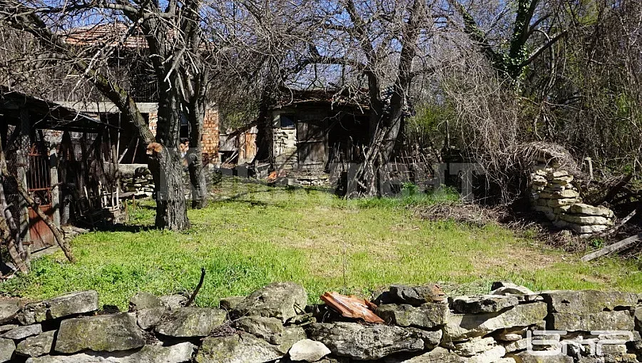 В селото на синеоките никой не излиза нощем. Мъжете нямат спомени