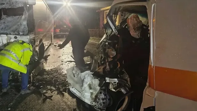 Първи подробности за катастрофата с линейка