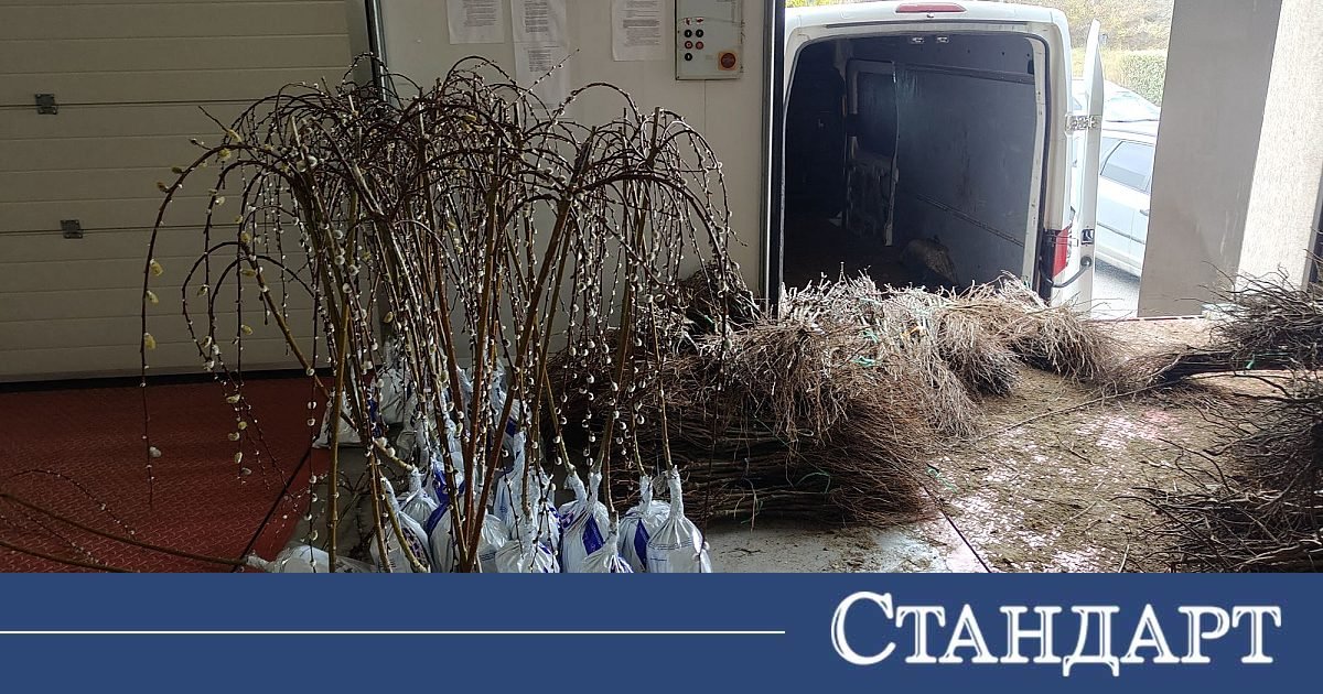 БАБХ спря внос на рекорден брой растения