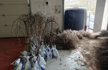 БАБХ спря внос на рекорден брой растения 