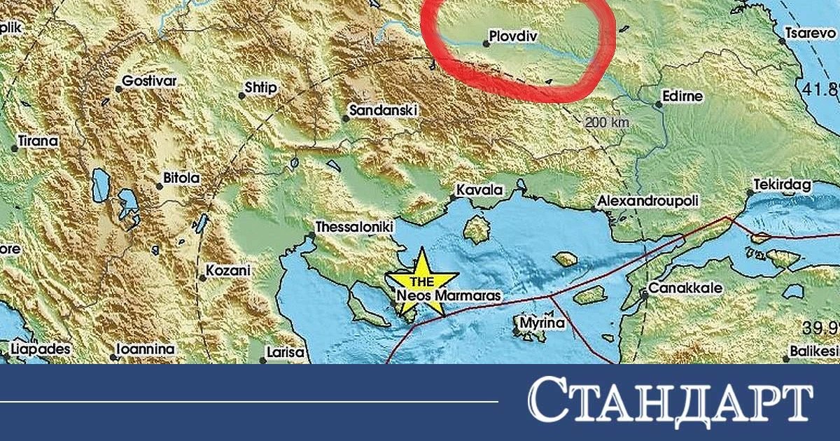 Котката на пловдивчанка се побъркала от  труса