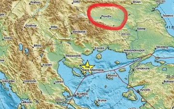 Котката на пловдивчанка се побъркала от труса