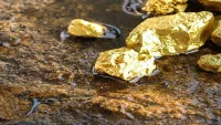 Огромна държава случайно откри запаси на злато за 83 млрд. долара
