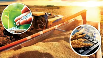 Призракът на продоволствената криза излезе на светло