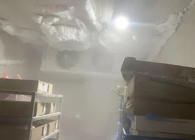 БАБХ затвори месопреработвателно предприятие в Монтана