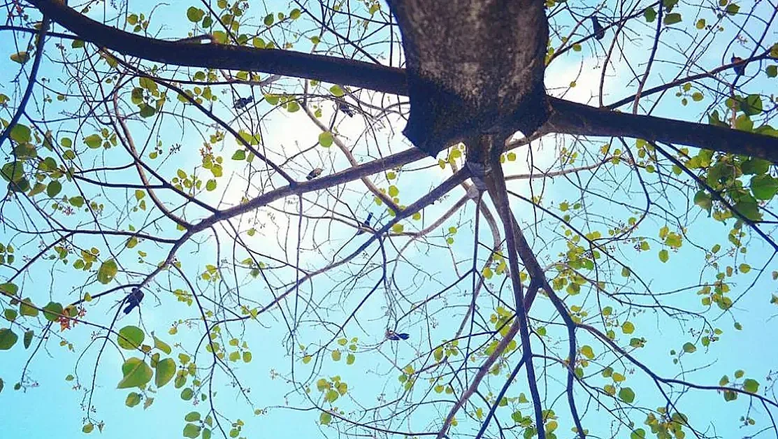 Тежък инцидент в Рим. Има пострадали